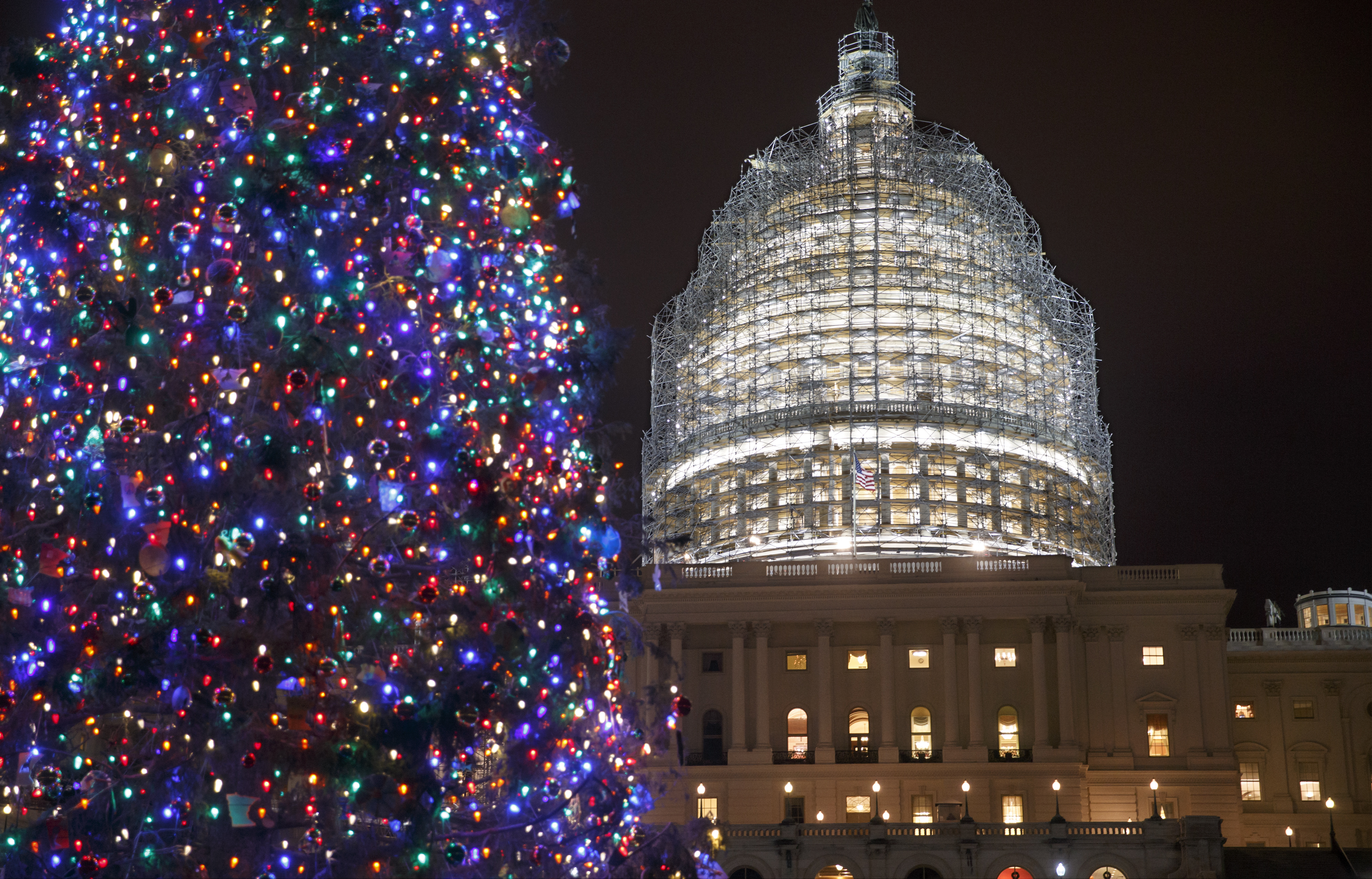 Contabilidade Financeira: As melhores árvores de Natal