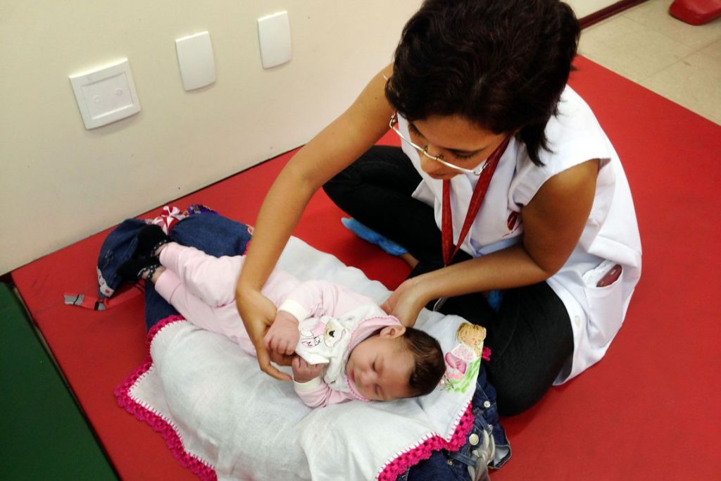 Vírus zika causa microcefalia em bebês