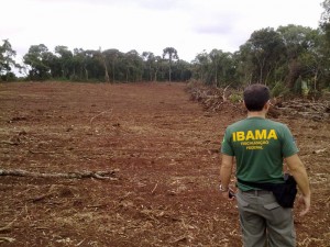 Fiscal do Ibama acompanha área devastada no Paraná (Ibama, 2014)